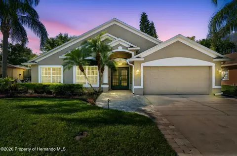 21314 Marsh Hawk Dr, Land O'lakes, FL 34638