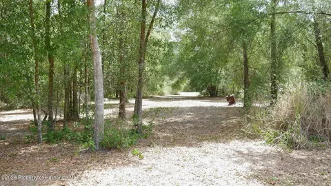17622 Caufield Rd, Spring Hillpasco, FL 34610 photo 5