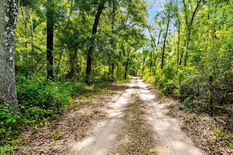 0 Lager St, Brooksville, FL 34602