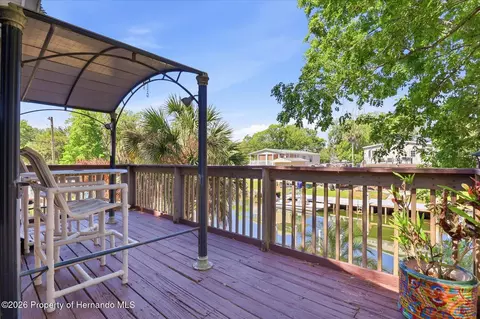 6169 Waverly Rd, Weeki Wachee, FL 34607 photo 45