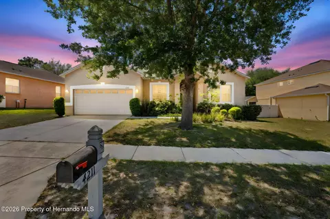 4211 Blakemore Pl, Spring Hill, FL 34609