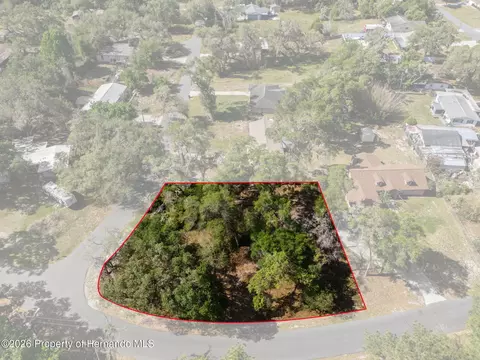 5043 Cardinal Dr, Ridge Manor, FL 33523