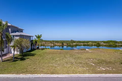 3327 Turks Cap Dr, Hernando Beach, FL 34607 photo 7