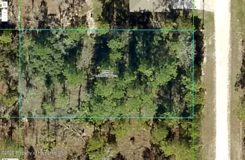 16379 Crane Rd, Weeki Wachee, FL 34614