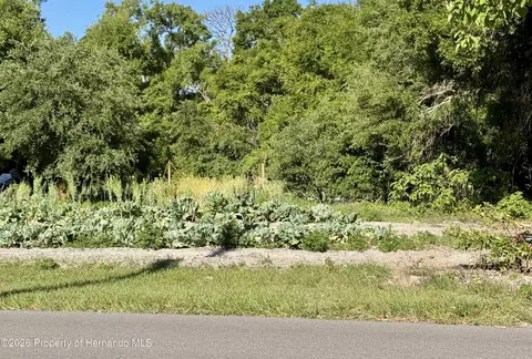 00 County Road 213, Wildwood, FL 34785