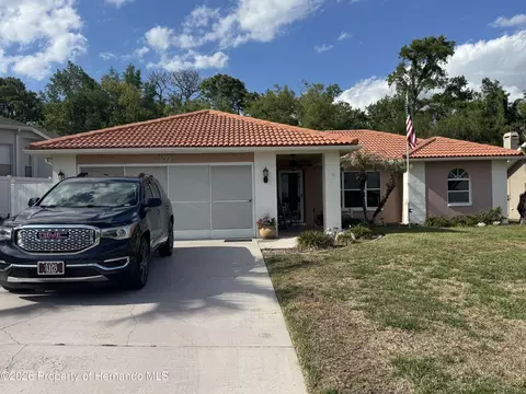 4370 Craigdarragh Ave, Spring Hill, FL 34606