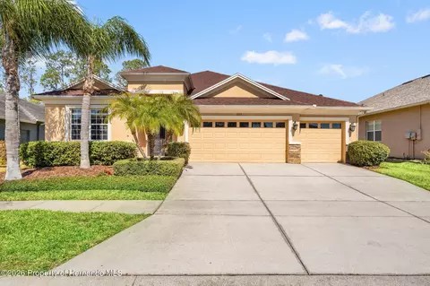 3303 Stonegate Falls Dr, Land O'lakes, FL 34638