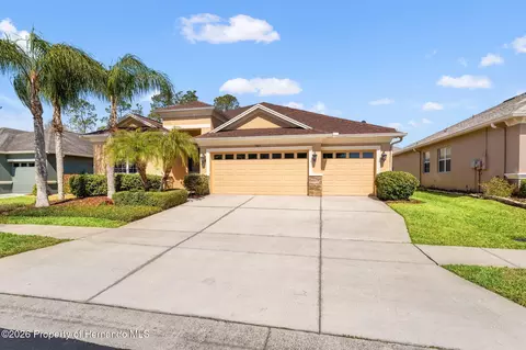3303 Stonegate Falls Dr, Land O'lakes, FL 34638