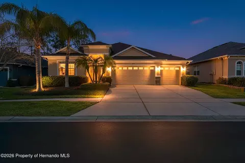 3303 Stonegate Falls Dr, Land O'lakes, FL 34638