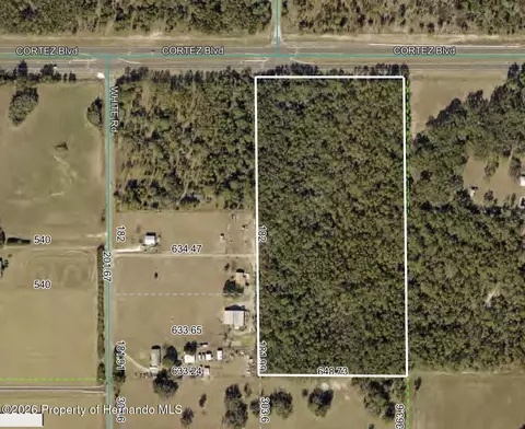 Undisclosed, Brooksville, FL 34602
