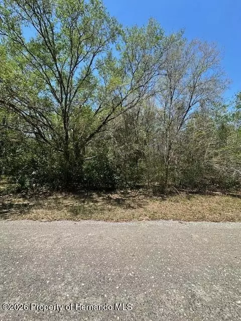 8681 N Catapane Loop, Crystal River, FL 34428 photo 2