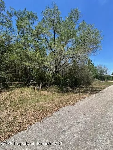 8681 N Catapane Loop, Crystal River, FL 34428 photo 3