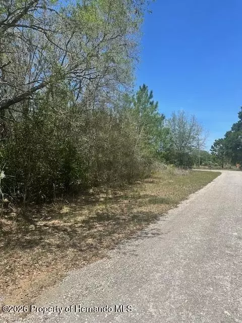 8681 N Catapane Loop, Crystal River, FL 34428 photo 5