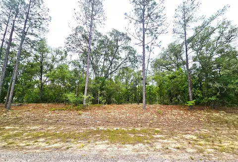 576 E Nemo Dr, Citrus Springs, FL 34434