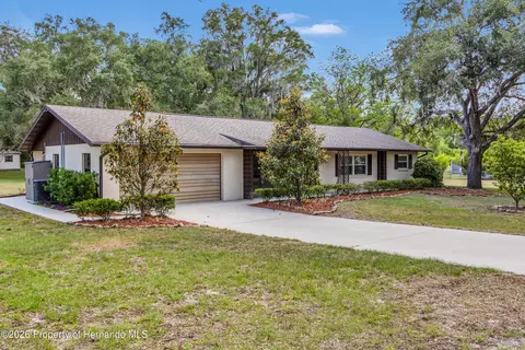25064 Rattler Ln, Brooksville, FL 34601