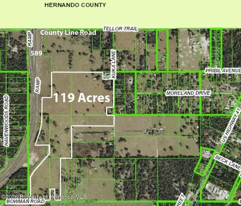 20139 Bowman Rd, Spring Hillpasco, FL 34610