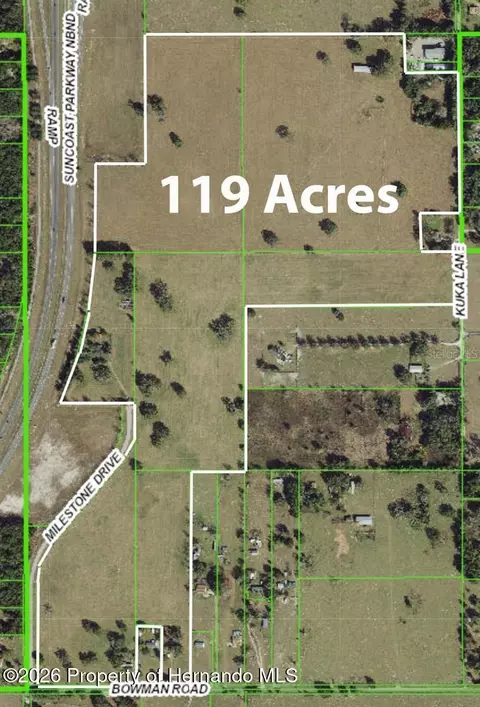 20139 Bowman Rd, Spring Hillpasco, FL 34610 photo 2
