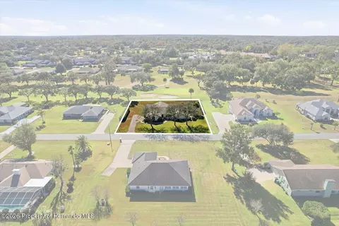 View/Area - 560 E Falconry Ct, Hernando, FL 34442 photo 3 of 3