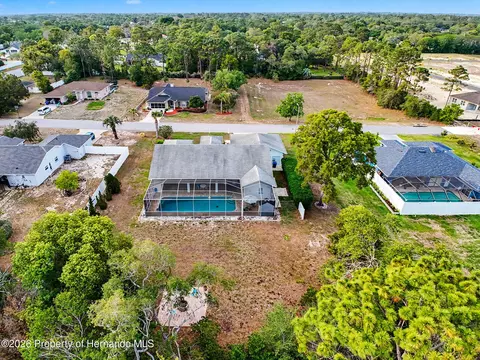 View/Area - 11344 Rainbow Woods Loop, Spring Hill, FL 34609 photo 1 of 6