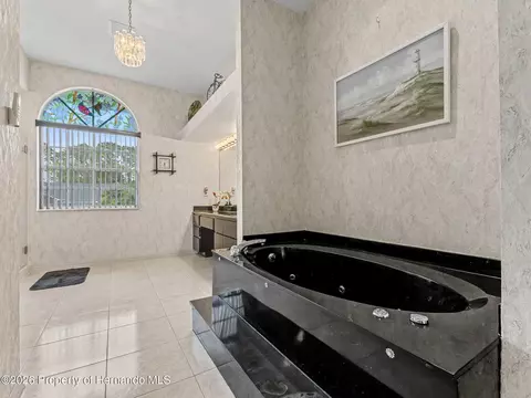 Bath - 11344 Rainbow Woods Loop, Spring Hill, FL 34609 photo 5 of 17