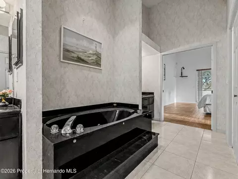 Bath - 11344 Rainbow Woods Loop, Spring Hill, FL 34609 photo 4 of 17