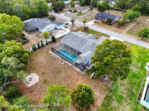 View/Area - 11344 Rainbow Woods Loop, Spring Hill, FL 34609 photo 2 of 6