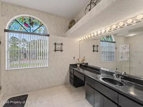 Bath - 11344 Rainbow Woods Loop, Spring Hill, FL 34609 photo 8 of 17