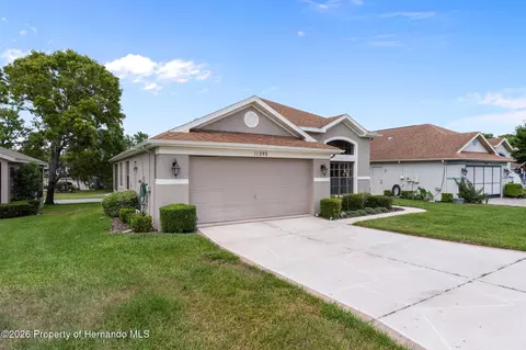 Other - 11293 Copley Ct, Spring Hill, FL 34609 photo 1 of 15