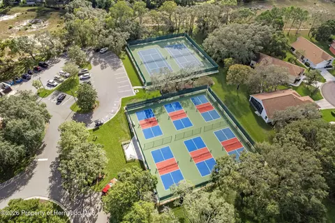View/Area - 11293 Copley Ct, Spring Hill, FL 34609 photo 4 of 6