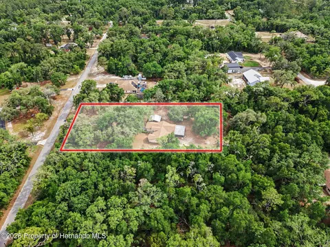 View/Area - 7111 Ricker Ave, Webster, FL 33597 photo 1 of 2