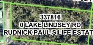 0 Lake Lindsey Rd, Nobleton, FL 34661 photo 3