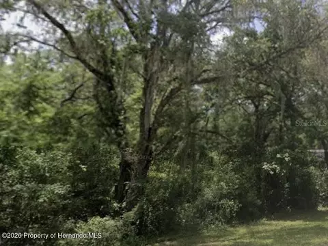 0 Lake Lindsey Rd, Nobleton, FL 34661 photo 2