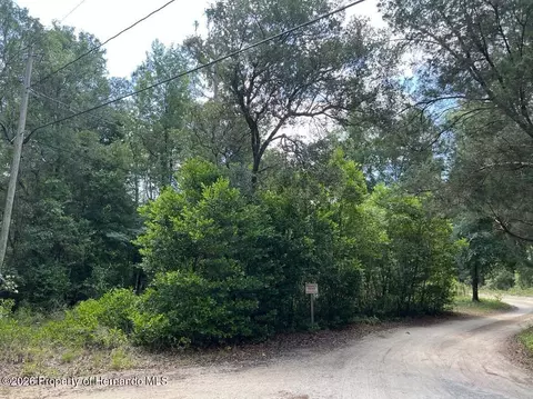 10013 N Holyoak Ter, Dunnellon, FL 34433