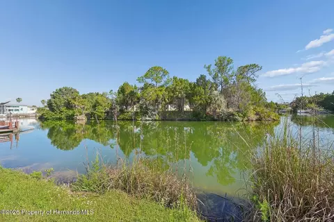 4033 Amberjack Dr, Hernando Beach, FL 34607 photo 9