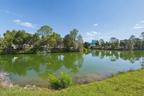 4033 Amberjack Dr, Hernando Beach, FL 34607 photo 8