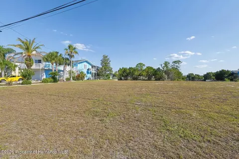 4033 Amberjack Dr, Hernando Beach, FL 34607 photo 3