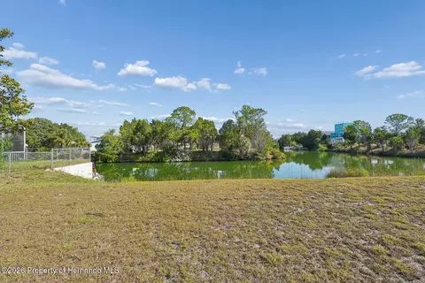 4033 Amberjack Dr, Hernando Beach, FL 34607