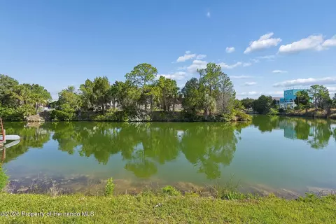 4033 Amberjack Dr, Hernando Beach, FL 34607 photo 2