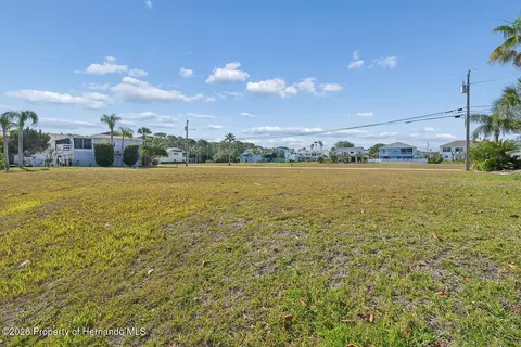 4033 Amberjack Dr, Hernando Beach, FL 34607 photo 6