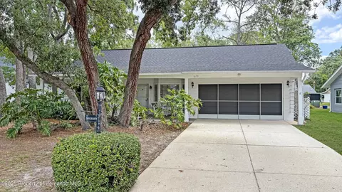 6173 Ocean Pines Ln, Spring Hill, FL 34606