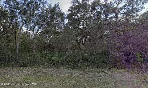 7149 Alloy St, Webster, FL 33597