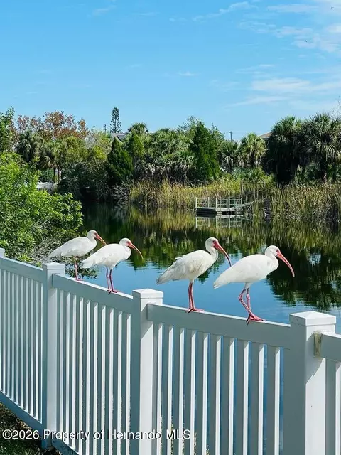 0 Sea Grape Dr, Hernando Beach, FL 34607 photo 2