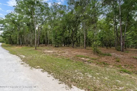 6341 Nile Ave, Webster, FL 33597 photo 5