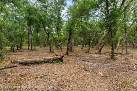 6341 Nile Ave, Webster, FL 33597 photo 3