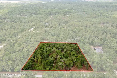 6341 Nile Ave, Webster, FL 33597