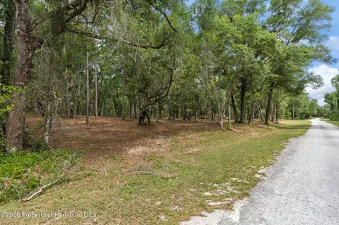6341 Nile Ave, Webster, FL 33597 photo 4