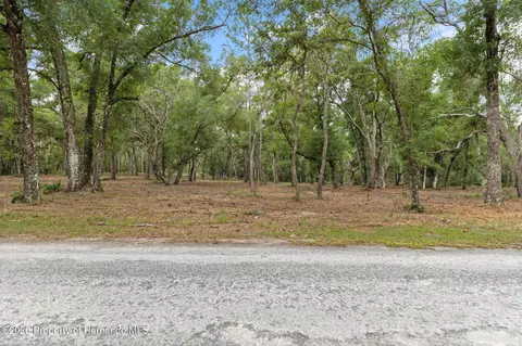6341 Nile Ave, Webster, FL 33597 photo 6