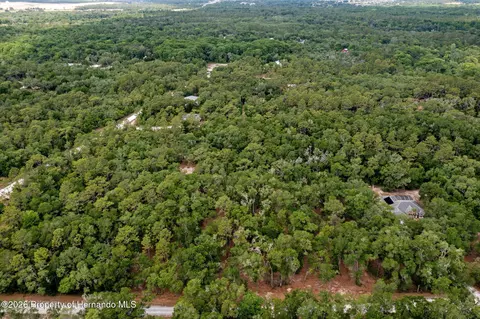 6341 Nile Ave, Webster, FL 33597 photo 8