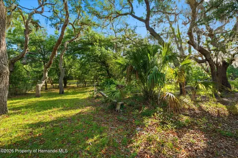 11219 Hook Ln, Hudson, FL 34669 photo 69