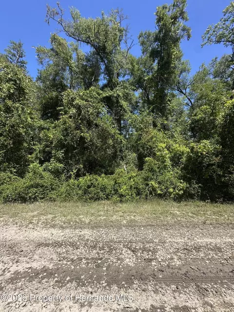 3567 E Yandle Pl, Inverness, FL 34453